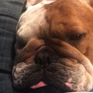 Meet your Posher, Mark